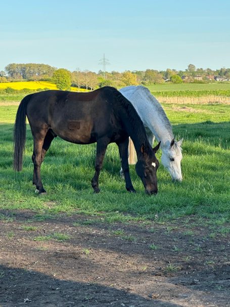 Kurplätze für Asthmatiker